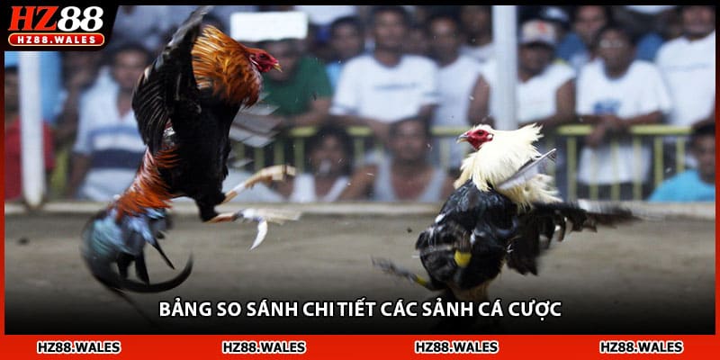 Bảng so sánh chi tiết các sảnh cá cược