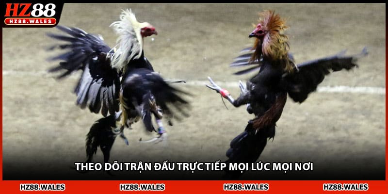 Theo dõi trận đấu trực tiếp mọi lúc mọi nơi