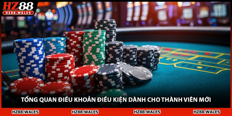 Tổng quan điều khoản điều kiện dành cho thành viên mới